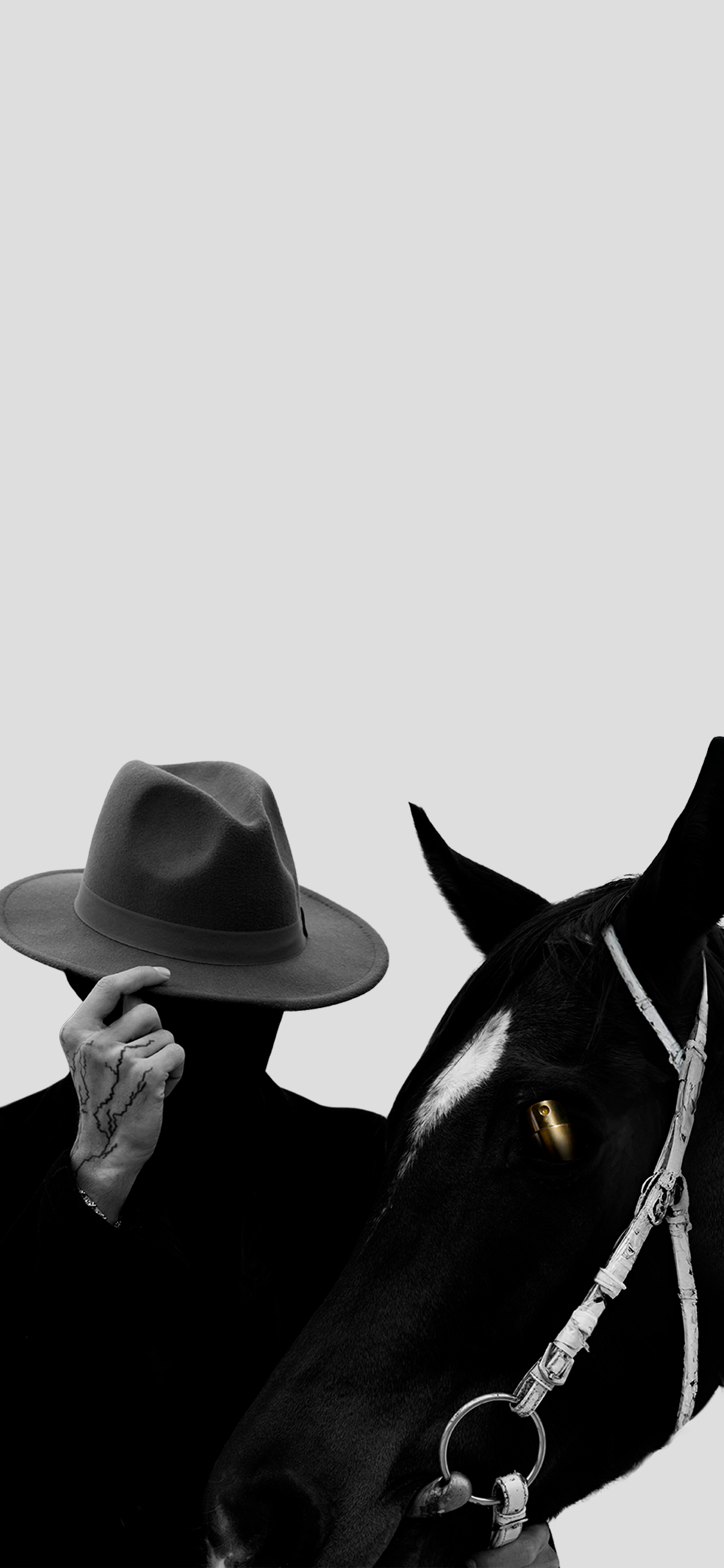 Phase 1 after transition